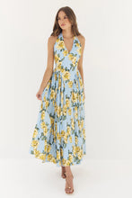 Load image into Gallery viewer, Alara Maxi Dress
