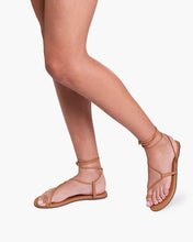 Load image into Gallery viewer, Jo Hazelton Gladiator Sandal
